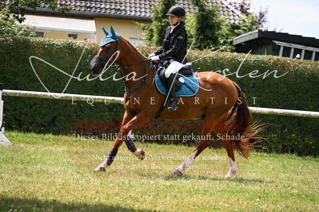 DSC_9256 | Pferde- und Turnierfotografie in Westsachsen. Pferdeportraits, Auftragszeichnungen und intuitive Kunst.
