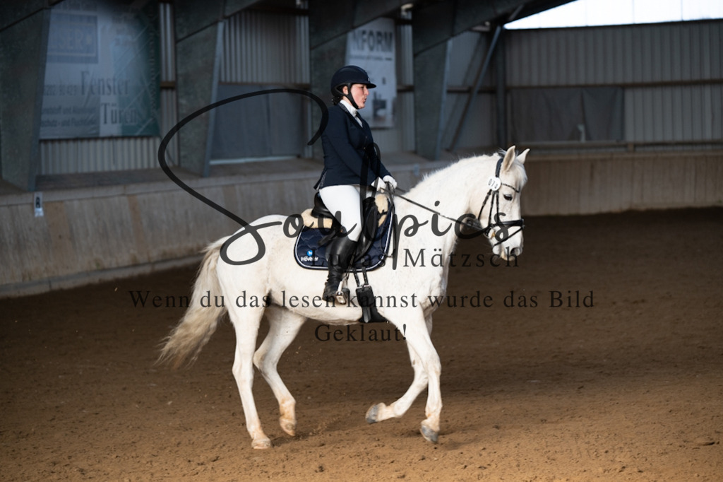 A7V05474 | Pferdefotograf