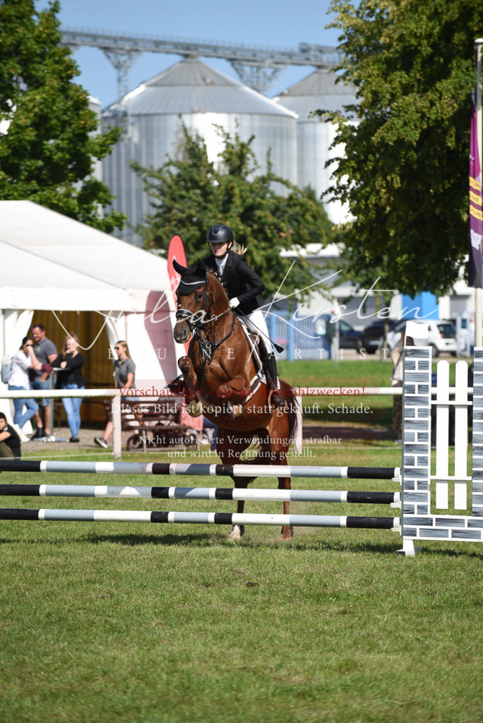 DSC_9172 | Pferde- und Turnierfotografie in Westsachsen. Pferdeportraits, Auftragszeichnungen und intuitive Kunst.