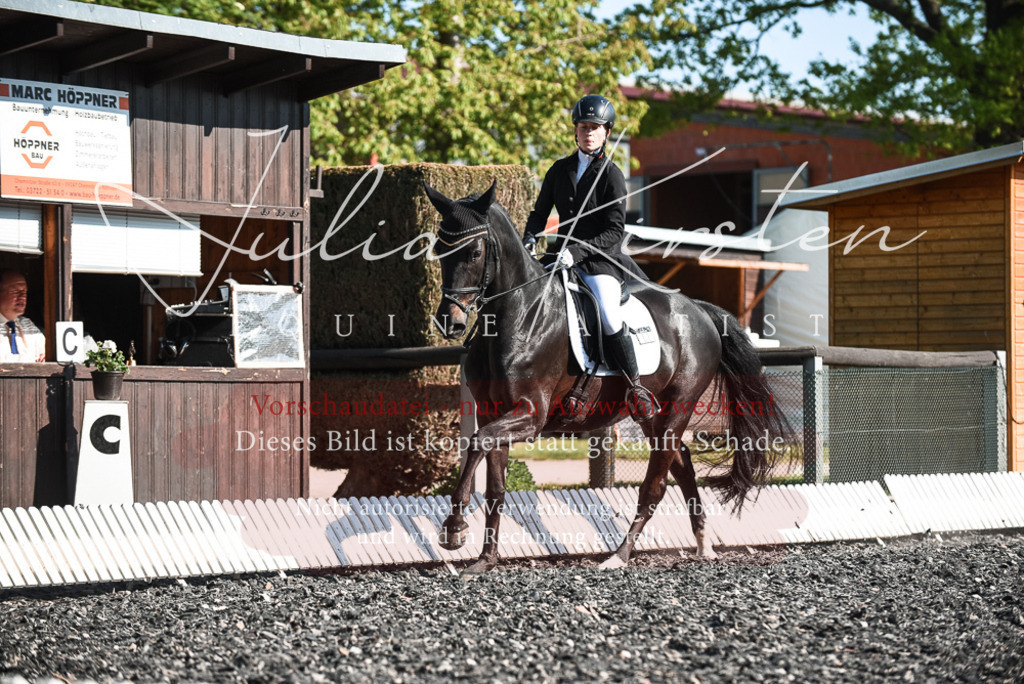 DSC_8340 | Pferde- und Turnierfotografie in Westsachsen. Pferdeportraits, Auftragszeichnungen und intuitive Kunst.