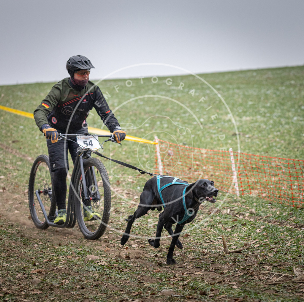 Pfotenfotografie_DV3A1150 | Hundefotografie, Tierfotograf, Pfotenfotografie, Fotoshooting Hund, Hunde Portrait, Hundesport, Hundeportraits, Heideshooting, Hunde, Sportfotograf, Hundefotograf, Turnierhundsport, THS,  - Realisiert mit Pictrs.com