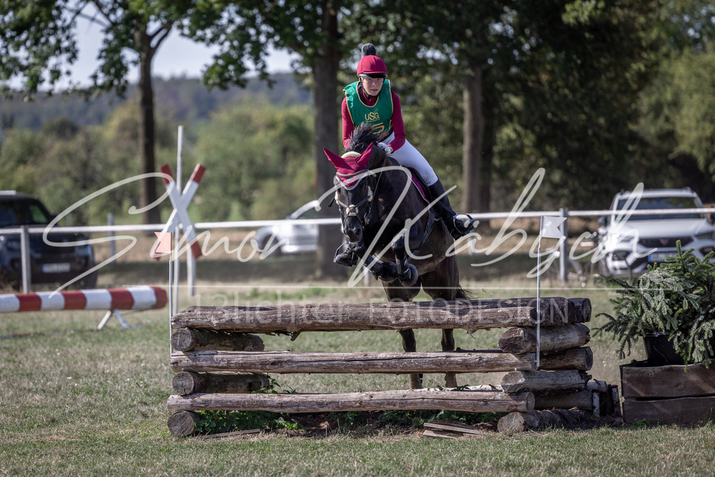 20260906-_3LI6250 | Tierfotografie Pferde, Hunde, Katzen, Haustiere.
Turnierfotografie Reitturniere, Reiten, Springreiten, Dressur in Hanau, dem Main-Kinzig-Kreis und dem Rhein-Main- Gebiet um Frankfurt