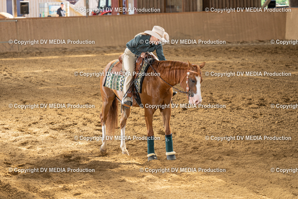 DSC00081 | dv-media-shop - Realisiert mit Pictrs.com