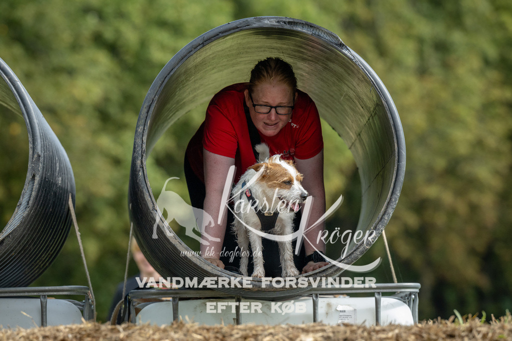 1145_ZZ90220 | kk-dogfotos