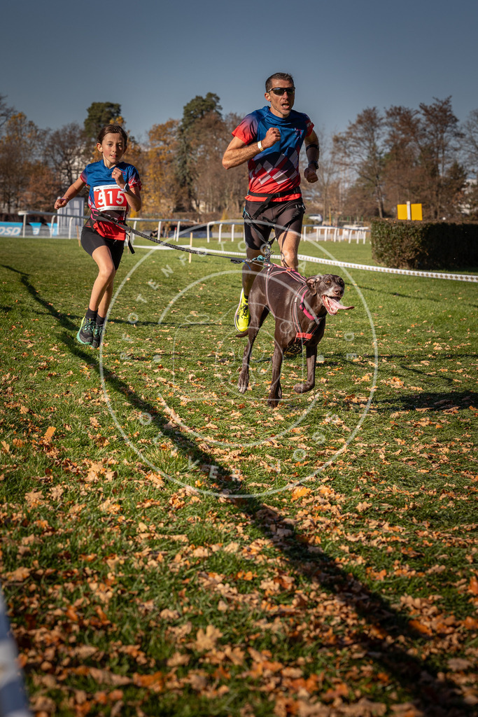 CaniXpix_0L8A6950 | Hundefotografie, Tierfotograf, Pfotenfotografie, Fotoshooting Hund, Hunde Portrait, Hundesport, Hundeportraits, Heideshooting, Hunde, Sportfotograf, Hundefotograf, Turnierhundsport, THS,  - Realisiert mit Pictrs.com