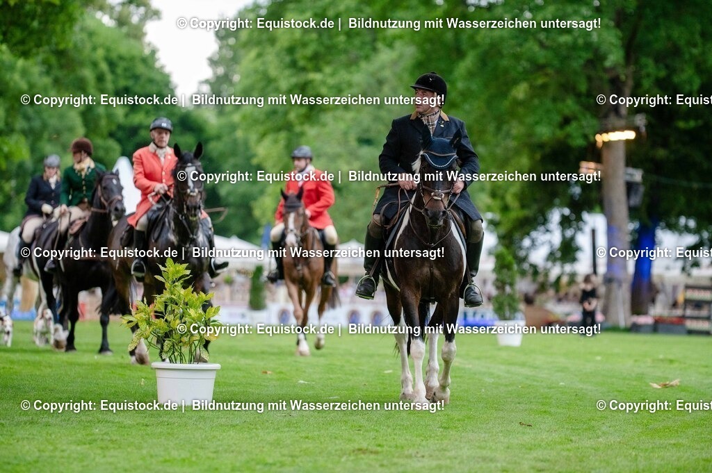 20250606_Lange-Pferdenacht_0515 | Foto: Thomas Hartig