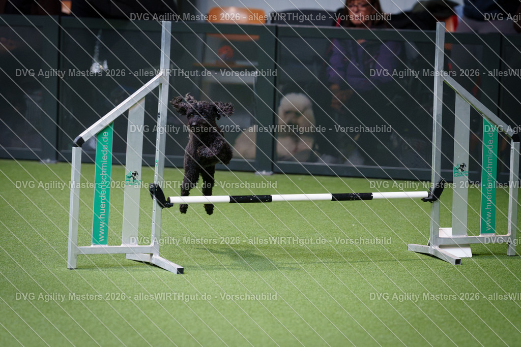 allesWIRTHgut_Tierfotografie-DVG_Agility_Masters_2026-12_35-7R508738 | Professionelle Tierfotografie in Mönchengladbach von Daniel Wirth (allesWIRTHgut). Liebevolle & natürliche Bilder von Hunden & Katzen für unvergessliche Erinnerungen.