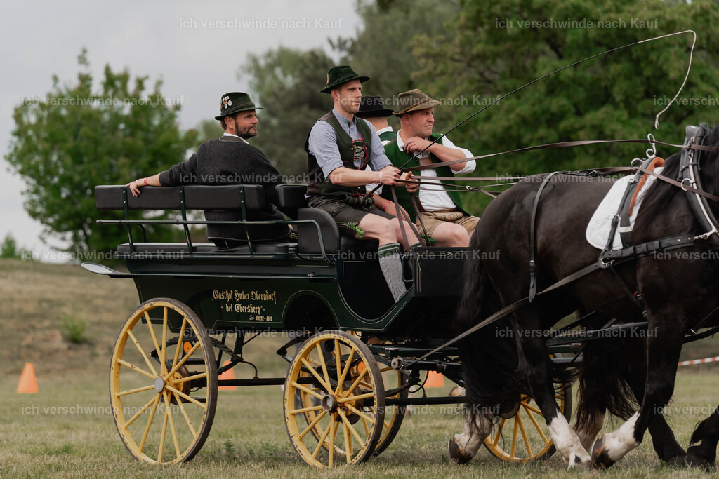 Showprogramm-357 | working equitationturnier fotograf videograf stoibphotography marixx film working equitation deutschland reitsport turnierfotografie eventfotografie equestrian events
