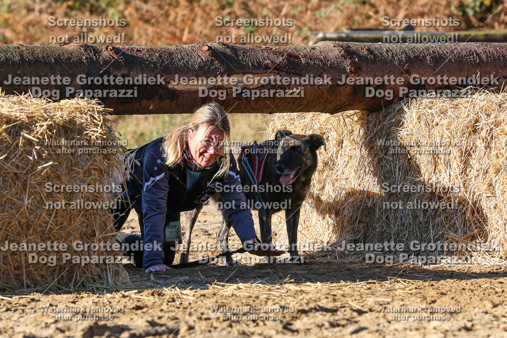 Dog Paparazzi - Strongdog 10-25-1693 | Dog Paparazzi Jeanette Grottendiek Fotografie & Videografie - Realisiert mit Pictrs.com