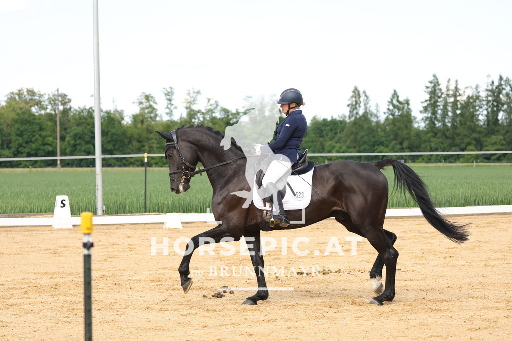0P6A9082 | Willkommen bei Brunnmayr - Design & Fotografie – Ihrem Spezialisten für Reitturniere und Pferdeveranstaltungen in Oberösterreich, Salzburg und Bayern! Seit über 17 Jahren sind wir leidenschaftlich dabei.