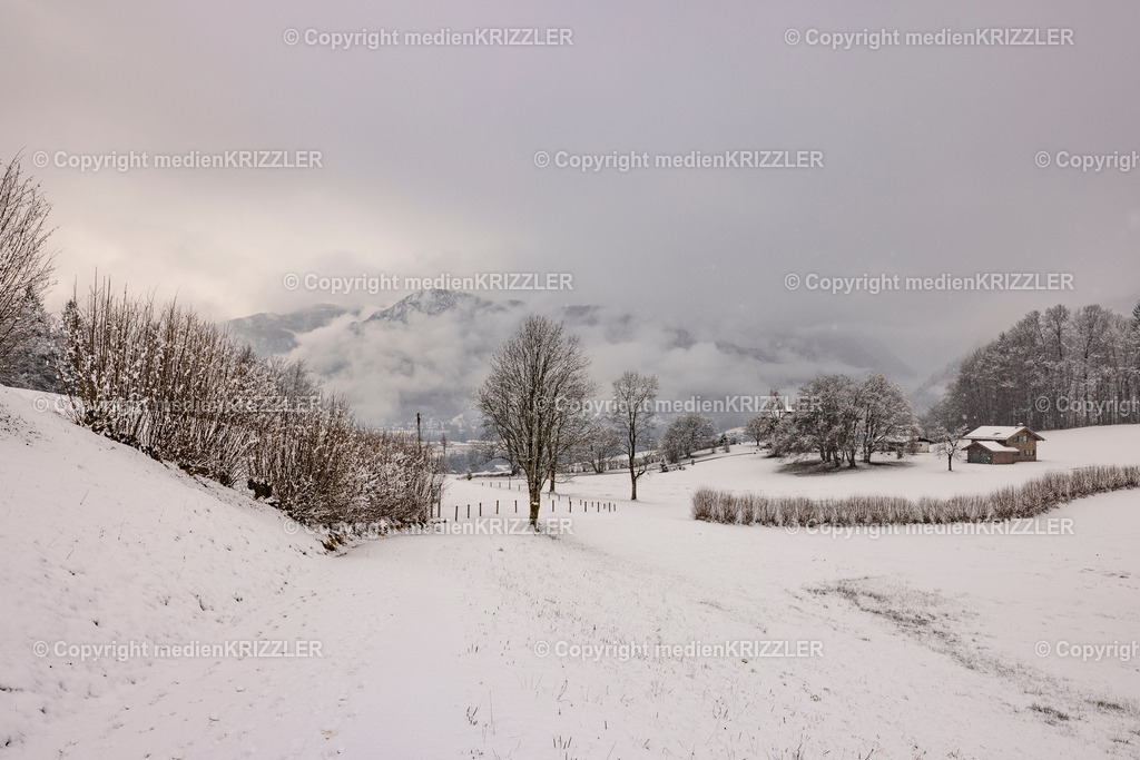 _J3A9939 | medienkrizzler - Realisiert mit Pictrs.com