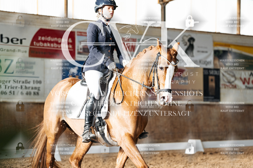 CK903011 | Turnierfotografie Pferdefotografie Trier Rheinland-Pfalz Pferdesport Reitsport Tierfotografie Sportfotografie Pferdevideo Pferdevideografie Equestrianvideography equestrianphotography  - Realisiert mit Pictrs.com