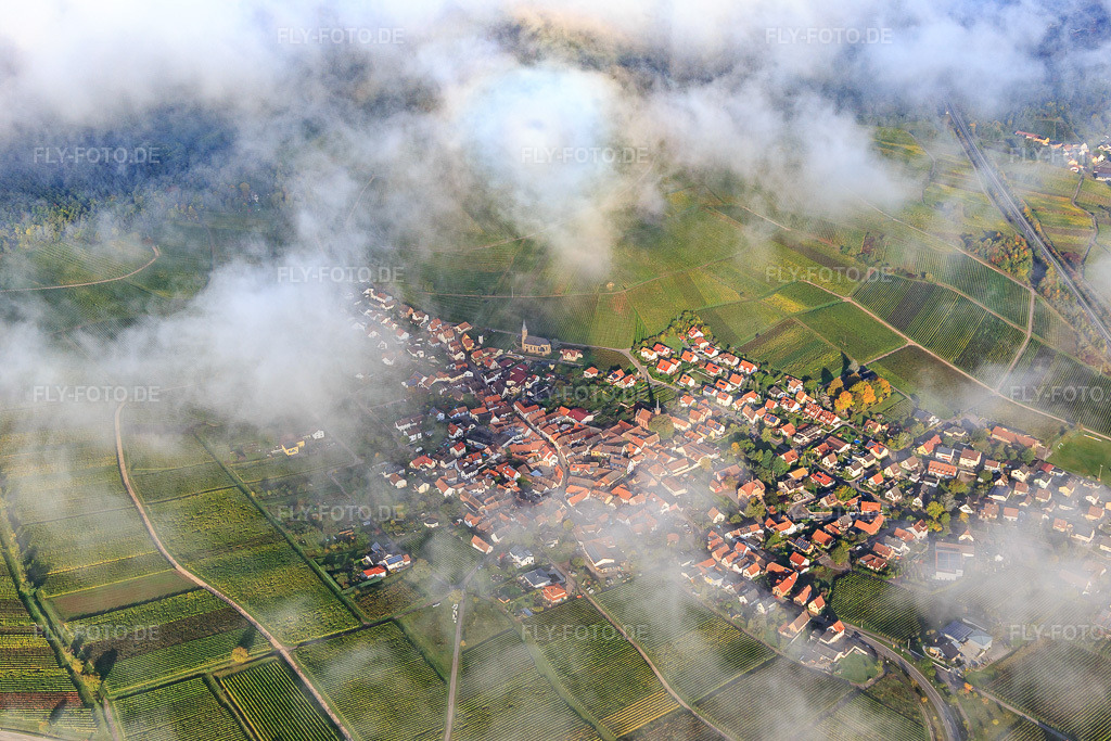 Luftbild: Winzerdorfansicht unter Wolken aus Südosten in Birkweiler im Bundesland Rheinland-Pfalz in Deutschland. Foto: IMG_103749.jpg vom 01.10.2017 durch Werner Riehm/FLY-FOTO.de