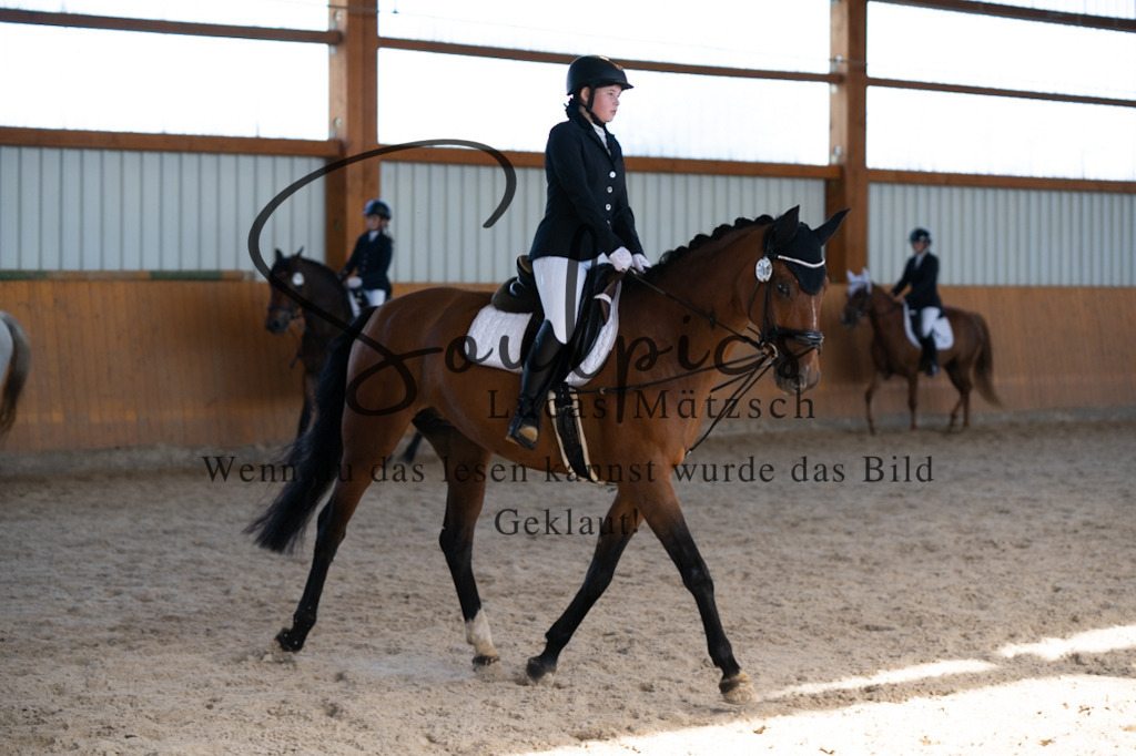 A7V02108 | Turnier/Reitfotograf
