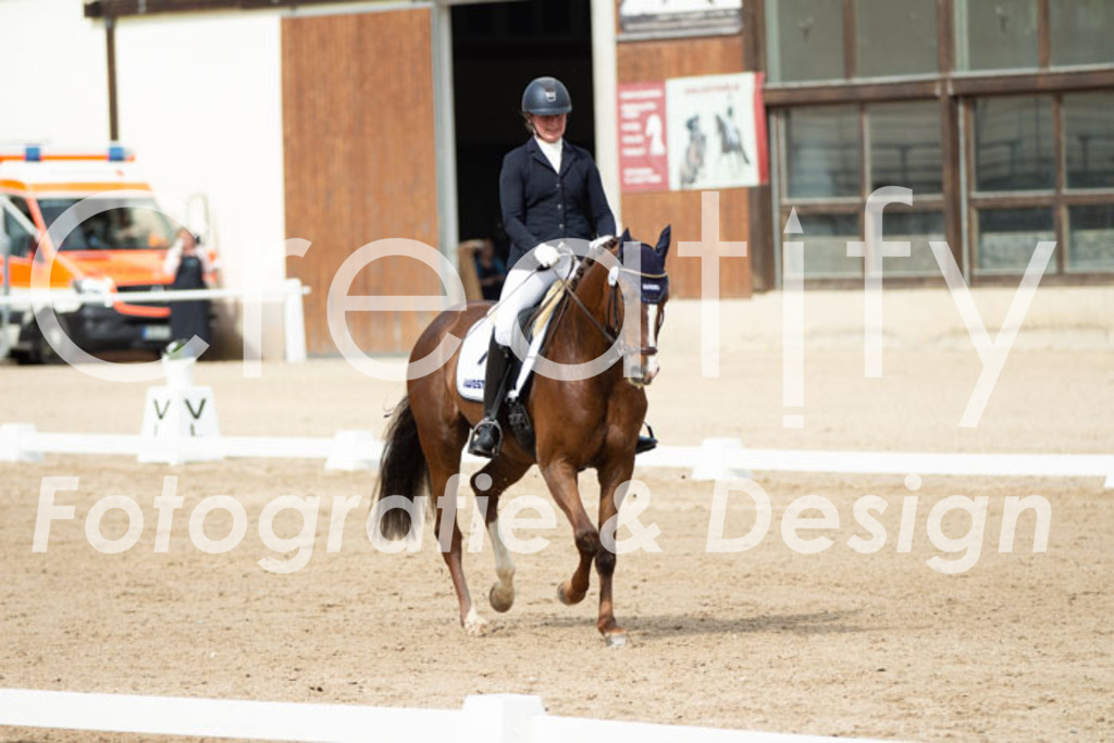 IMG_1620 | Creatify Fotografie