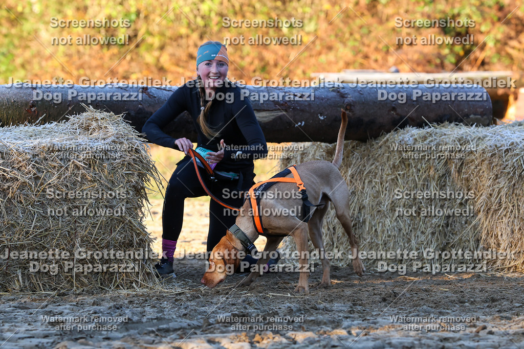 Dog Paparazzi - Strongdog 10-25-609 | Dog Paparazzi Jeanette Grottendiek Fotografie & Videografie - Realisiert mit Pictrs.com