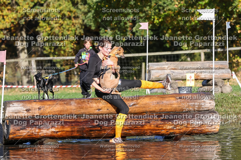 Dog Paparazzi - Strongdog 10-25-8793 | Dog Paparazzi Jeanette Grottendiek Fotografie & Videografie - Realisiert mit Pictrs.com