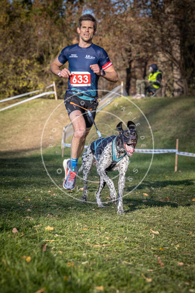 CaniXpix_0L8A8894 | Hundefotografie, Tierfotograf, Pfotenfotografie, Fotoshooting Hund, Hunde Portrait, Hundesport, Hundeportraits, Heideshooting, Hunde, Sportfotograf, Hundefotograf, Turnierhundsport, THS,  - Realisiert mit Pictrs.com