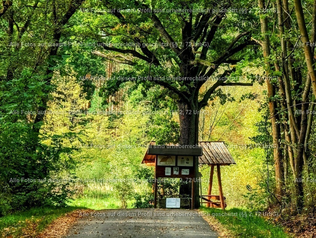 PXL_20231016_122435740_3-01_2 | krollfotografie - Realisiert mit Pictrs.com