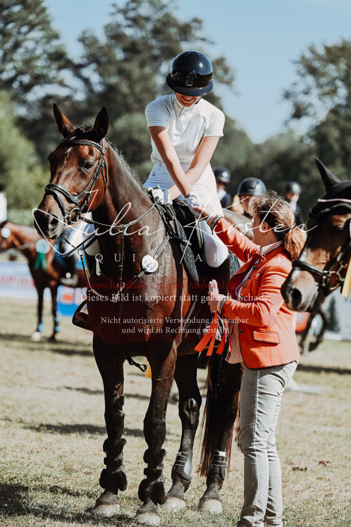DSC_0113 | Pferde- und Turnierfotografie in Westsachsen. Pferdeportraits, Auftragszeichnungen und intuitive Kunst.