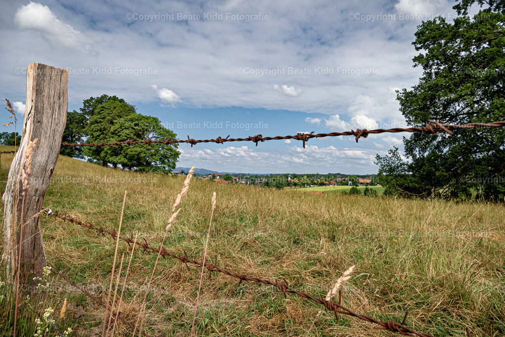 P1770546 | beatekidd-fotografie - Realisiert mit Pictrs.com