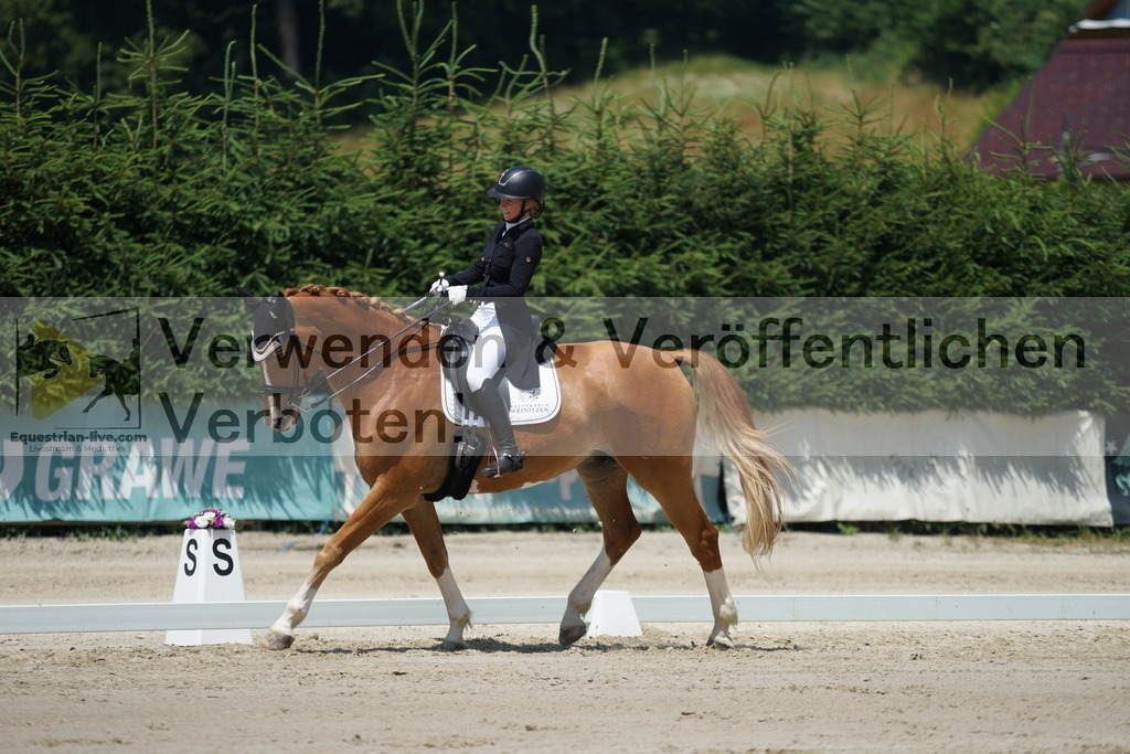 DSC05021 | equestrian-live-com