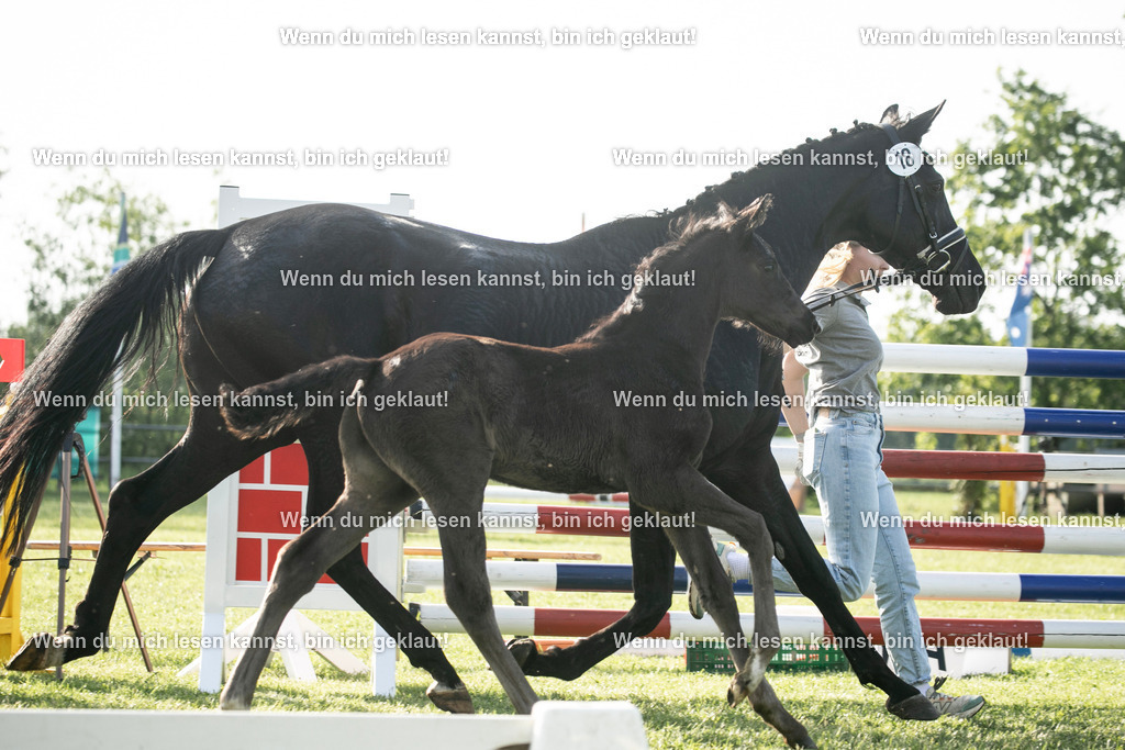598A7325 | photographylinaismer - Realisiert mit Pictrs.com