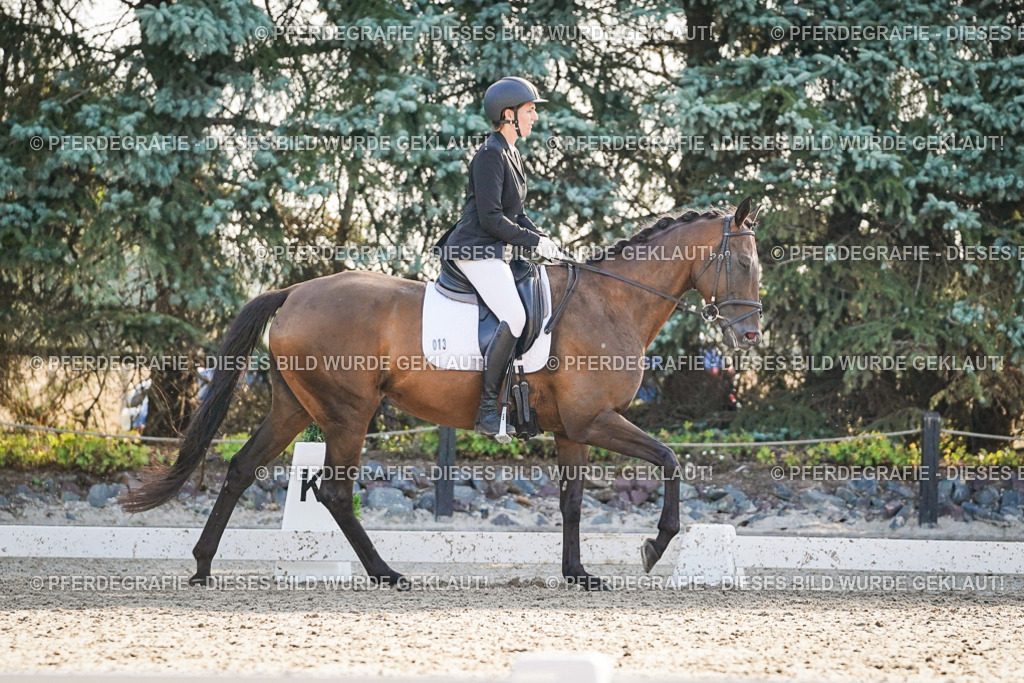 DSC08405 | Pferdegrafie