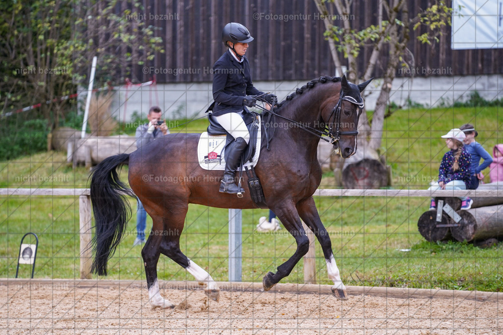 20231007-SN_00878 | Professionelle Turnier- und Reitsportfotografie - mit dem Finger am Auslöser. Pferdebilder aus dem Reitsport von den Turnierfotografen  Bayern , Pferdefotograf Bayern, Pferdeshooting Turnierbilder, Hochzeitsfotograf, Eventfotograf, Hochzeitsbilder