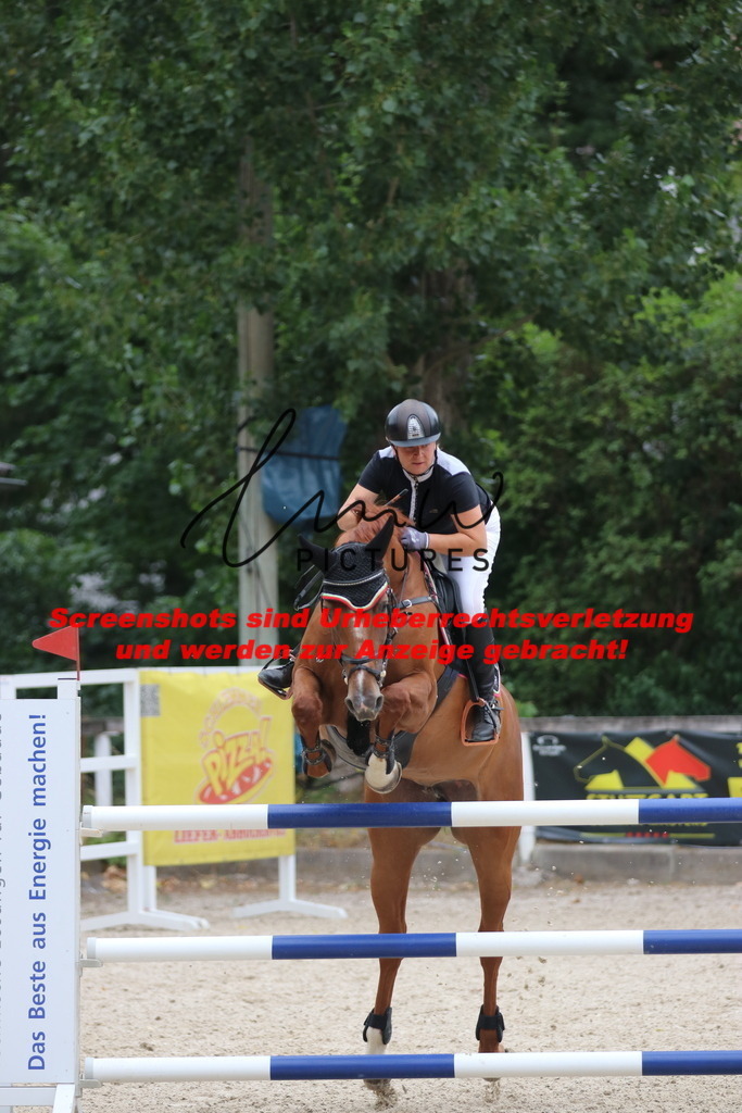 IMG_8169 | lmwpictures - Realisiert mit Pictrs.com