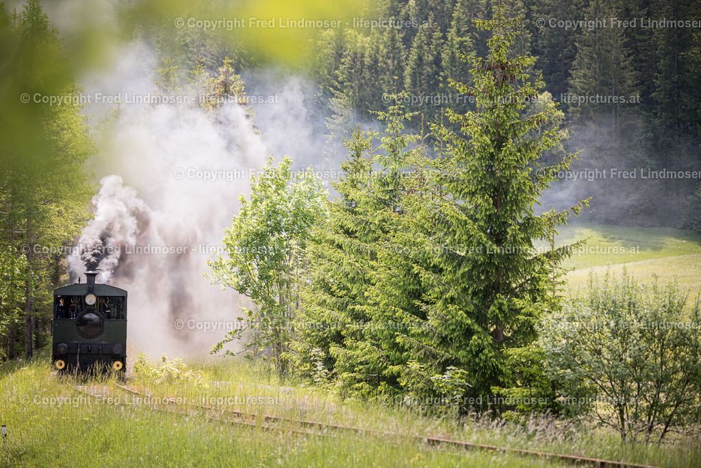 Erlaufsee Ausflugsschiff Fleissner-1442 | Fotos und Fotoprodukte - Realisiert mit Pictrs.com