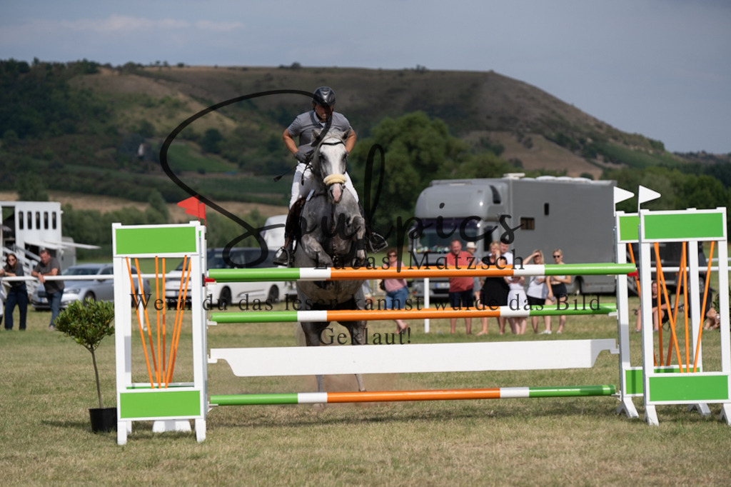 A7V02669 | Pferdefotograf