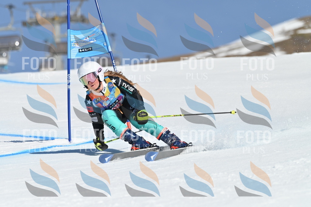 BGV_8140 | holidayphoto