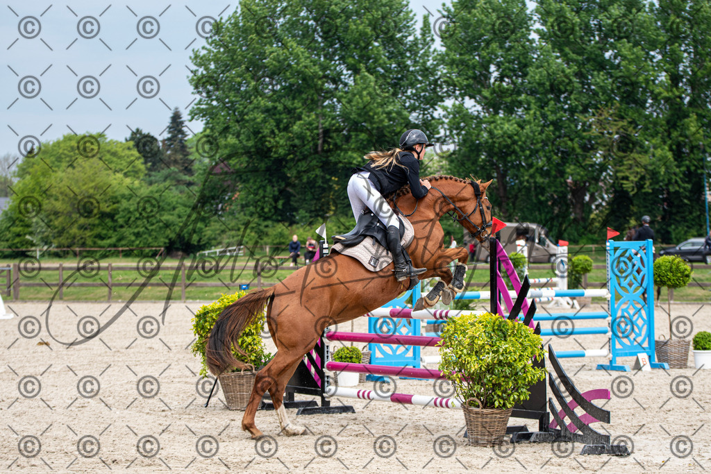 KPT_3082 | andre_photographic