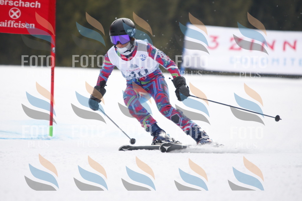 D5074 | holidayphoto