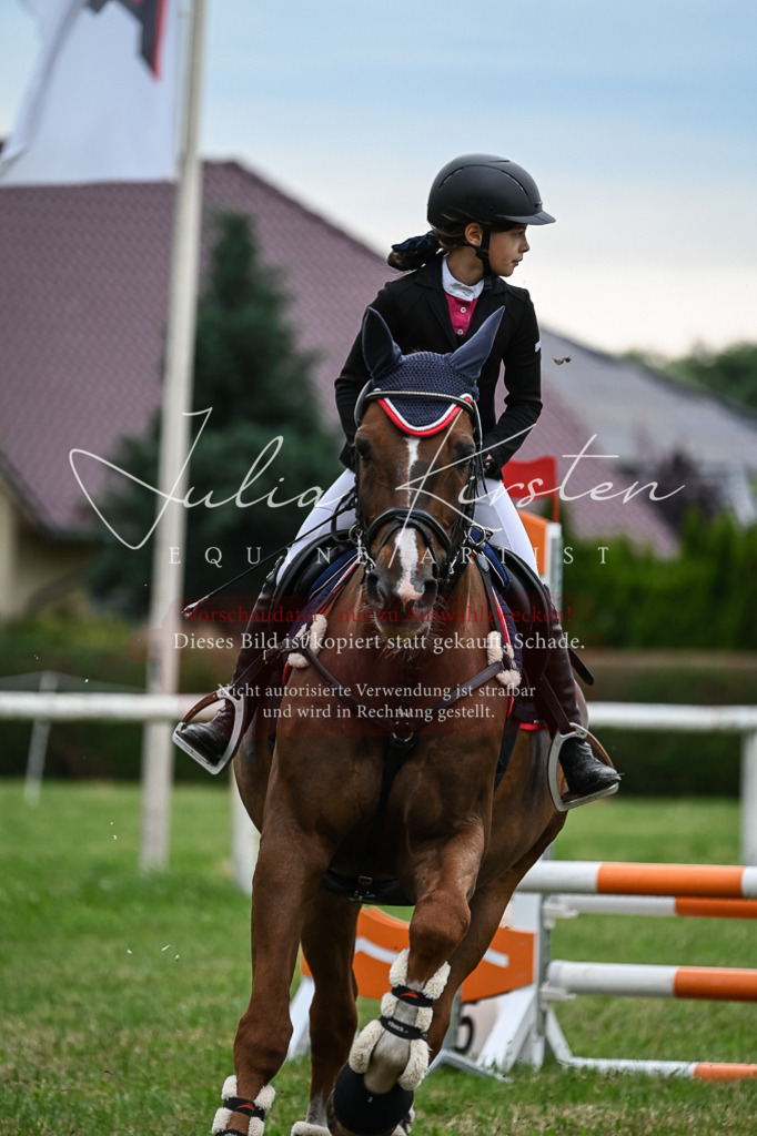 DSC_8531 | Pferde- und Turnierfotografie in Westsachsen. Pferdeportraits, Auftragszeichnungen und intuitive Kunst.