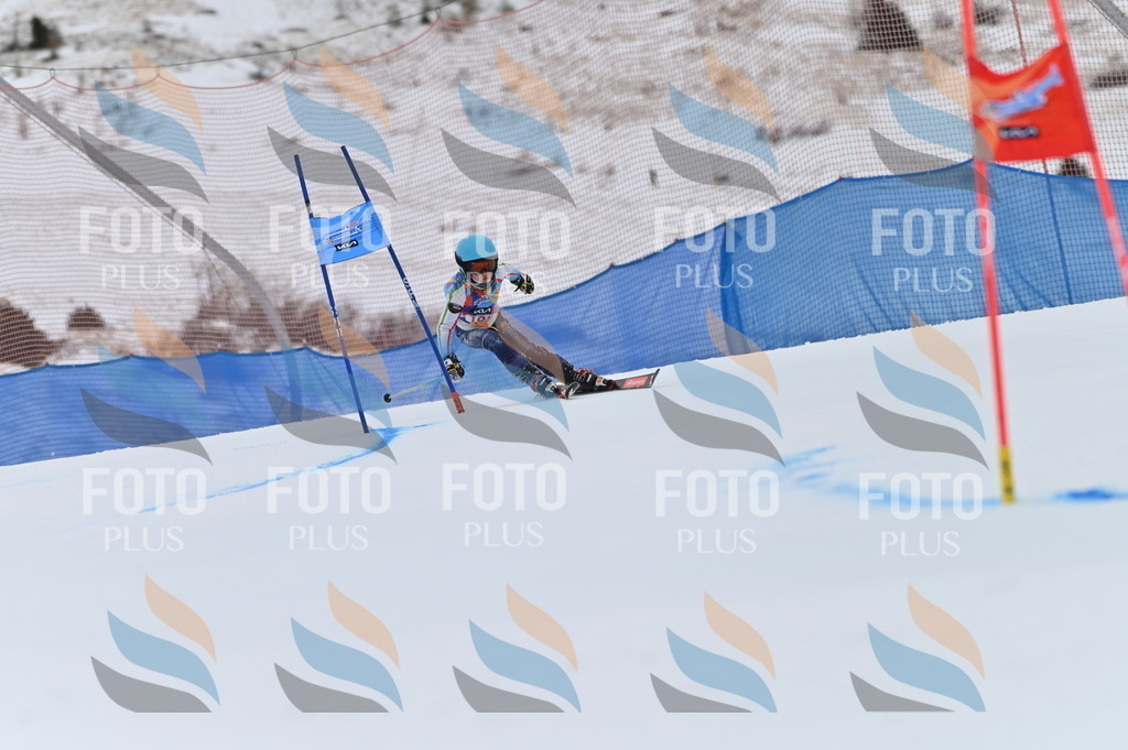 BGV_0423 | holidayphoto