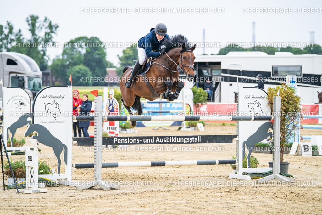 DSC08952 | Pferdegrafie