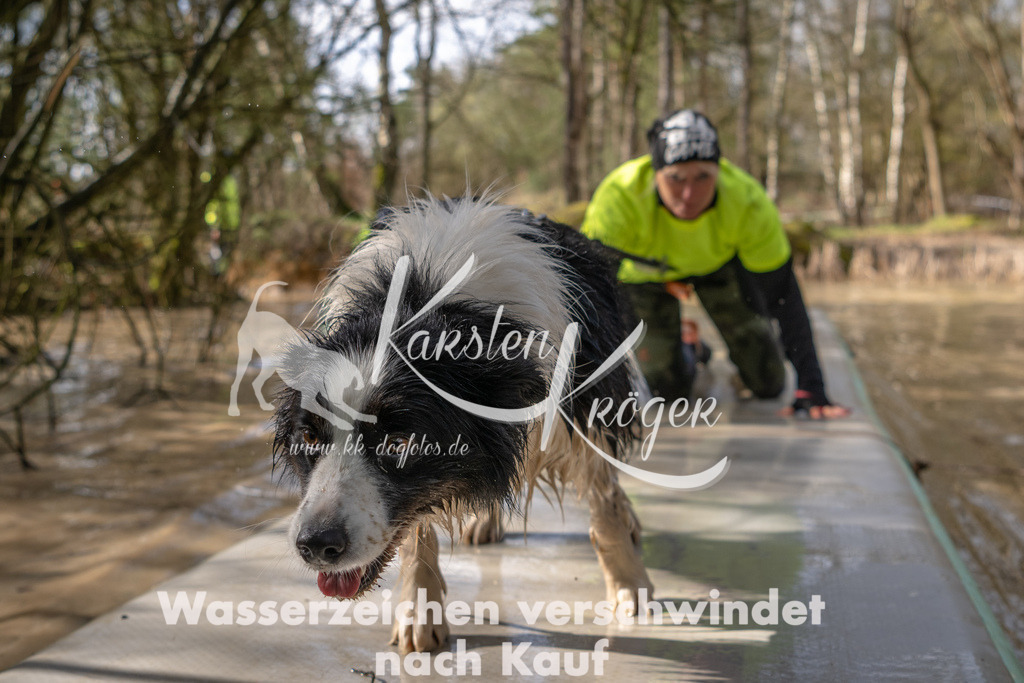 0959_ZZ92110 | kk-dogfotos