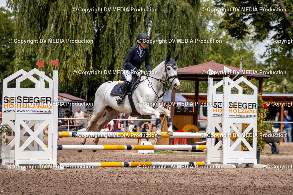 Eppelheim Tag 3-483 | dv-media-shop - Realisiert mit Pictrs.com