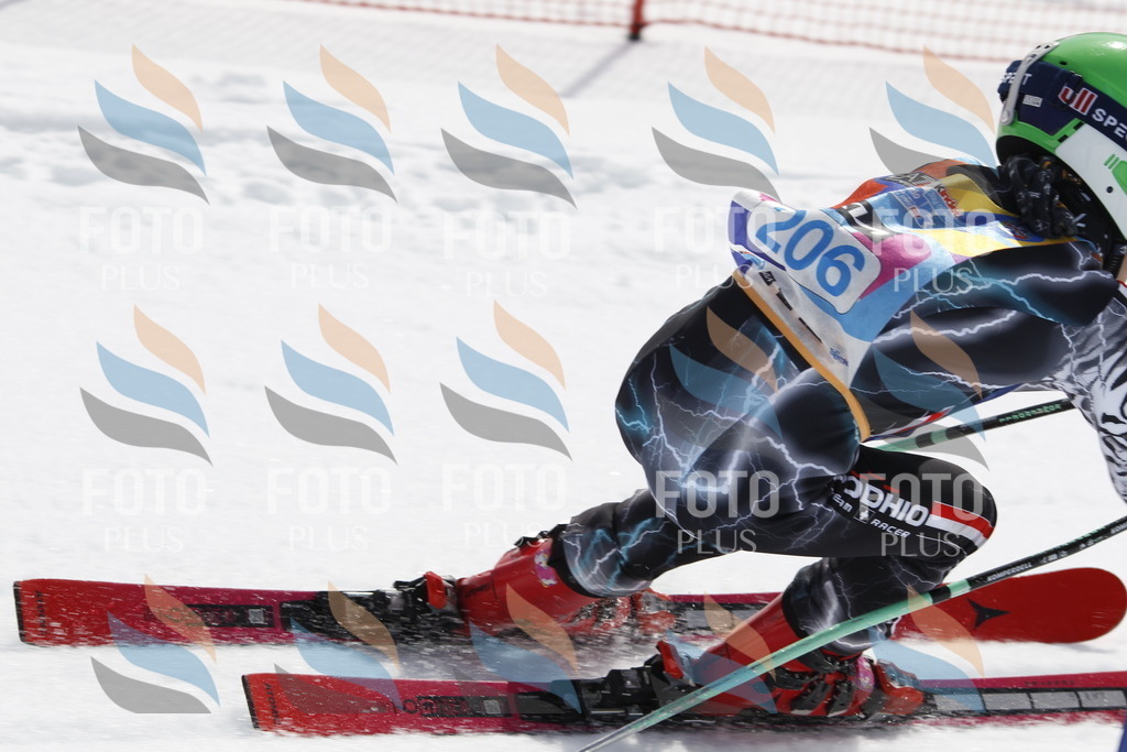 _U3G2162 | holidayphoto