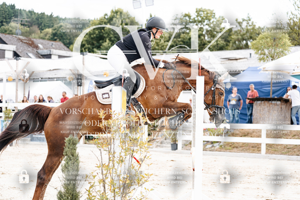 CK902362 | Turnierfotografie Pferdefotografie Trier Rheinland-Pfalz Pferdesport Reitsport Tierfotografie Sportfotografie Pferdevideo Pferdevideografie Equestrianvideography equestrianphotography  - Realisiert mit Pictrs.com