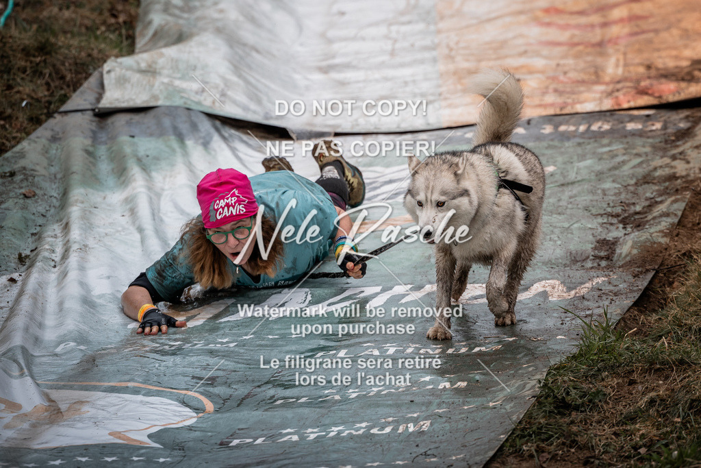 nelerasche_1330-1400_40 | nelerasche