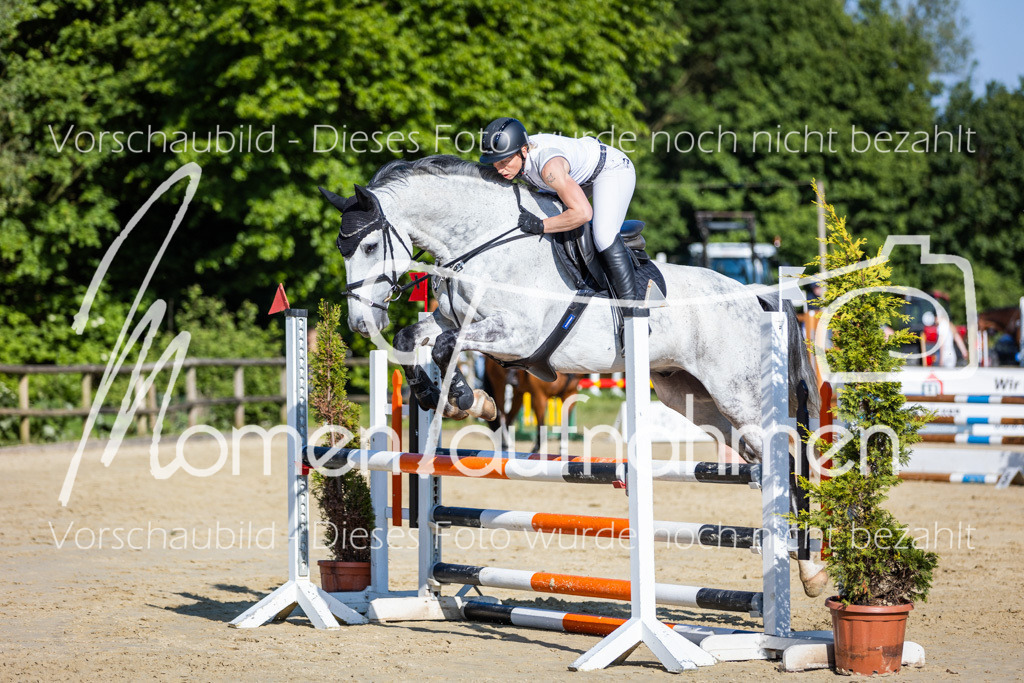 Donop24-ASpr-102 | MomenTaufnahmen Pferdesportfotos