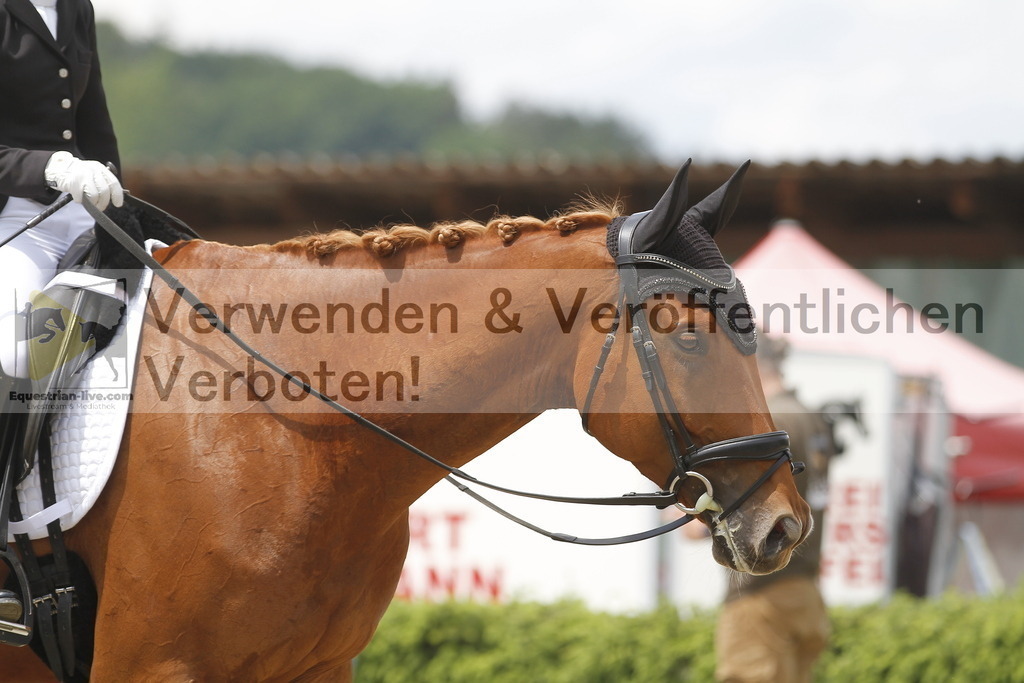 _MG_9448 | equestrian-live-com