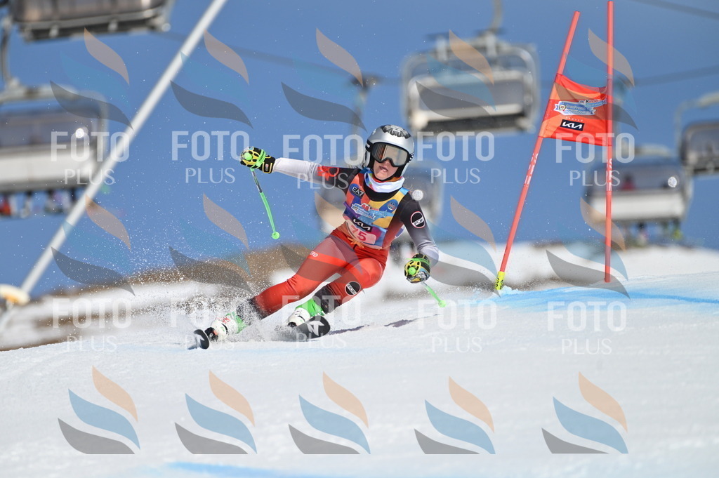 BGV_8990 | holidayphoto