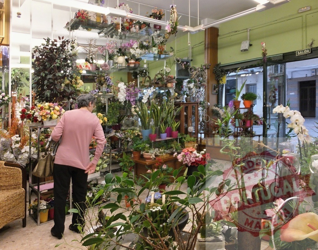 Woman browsing plants flowers inside a busy florist shop | Woman shopping for plants and flowers in a vibrant flower shop - Realisiert mit Pictrs.com