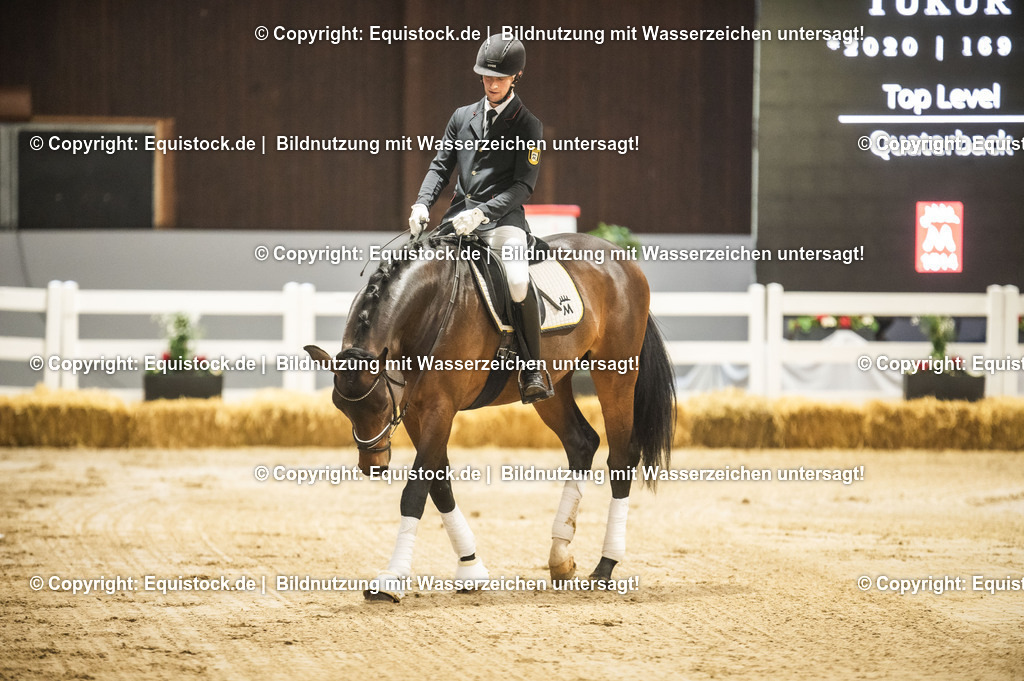 20240302_Hengstvorstellung_Marbach_TOMsPiC_0148 | equistock