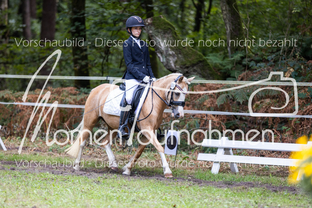 HB-Dressur-WB-010 | MomenTaufnahmen Pferdesportfotos