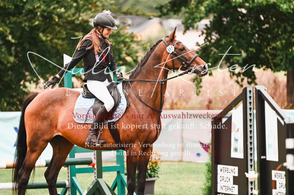 DSC_5862 | Pferde- und Turnierfotografie in Westsachsen. Pferdeportraits, Auftragszeichnungen und intuitive Kunst.